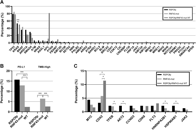 Figure 3. Molecular landscape of the MSS subcohort. A, Genetic landscape comparison between RSPOfp and RNF43-mut tumors in the MSS subgroup. KRAS mutation was the only statistically different genetic alteration. ***, q < 0.001. B, TMB and PDL-1 status in RNF43-mut, RSPOfp and RNF43/RSPOfp-WT colorectal cancers. None of the RSPOfp patients showed a TMB >10 mt/Mb or an MSI-H/dMMR status; *, q < 0.05; ***, q < 0.001. C, Copy-number alterations in RNF43 mutations, RSPO rearrangements, and RNF43/RSPO-WT samples; *, q < 0.05.