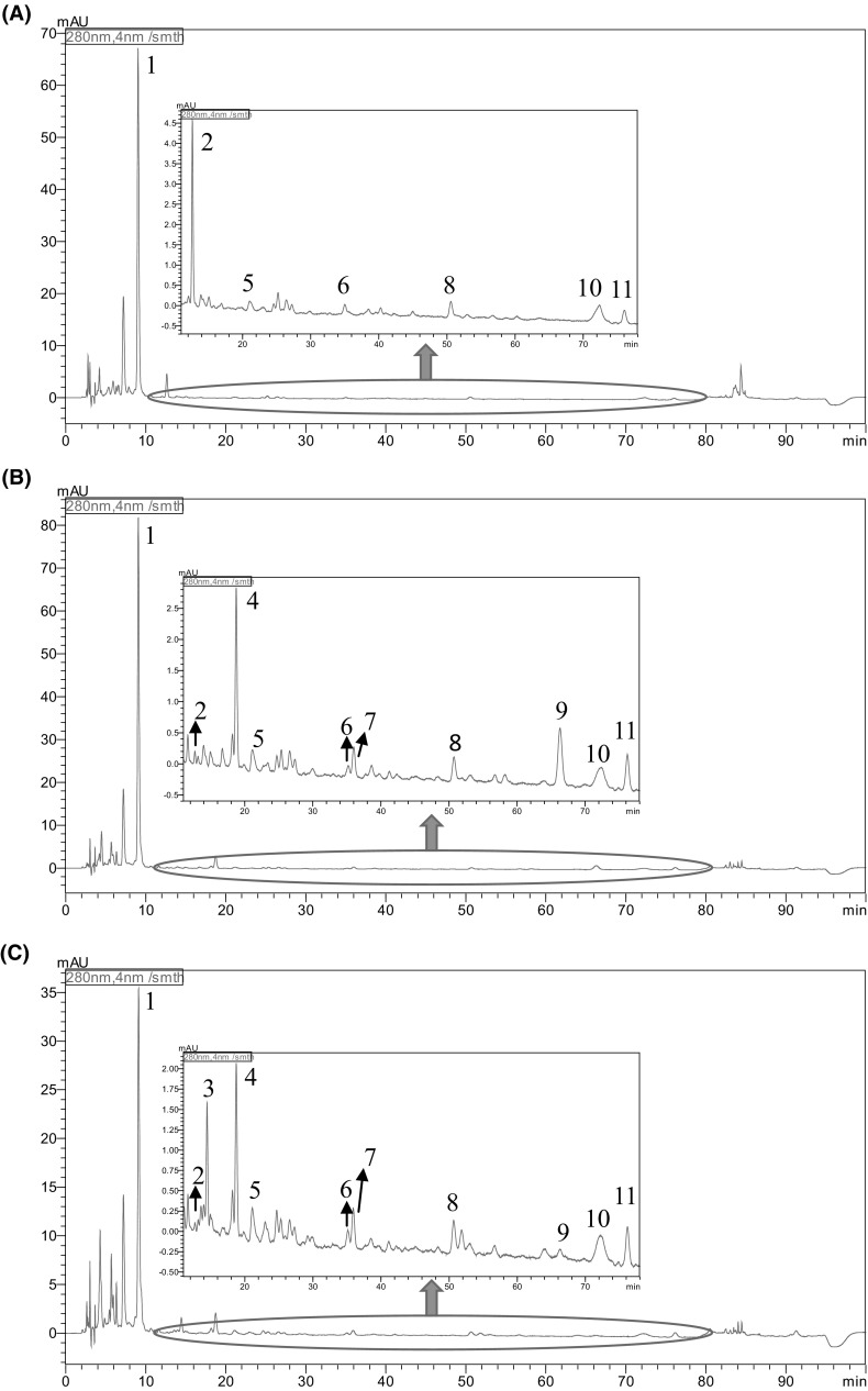 Fig. 2