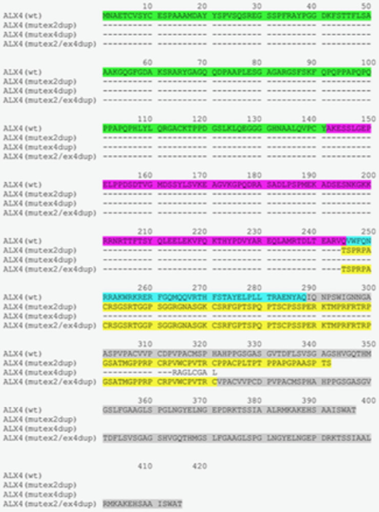 Fig 6