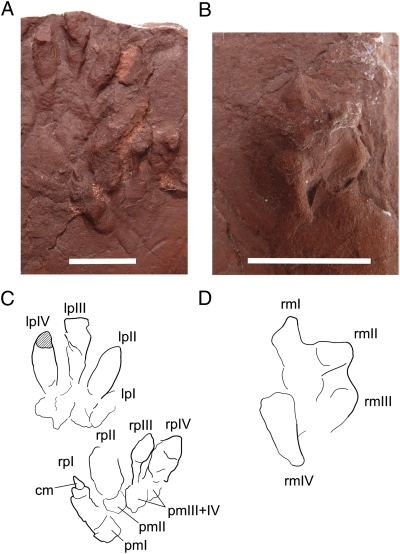 Fig. 3.