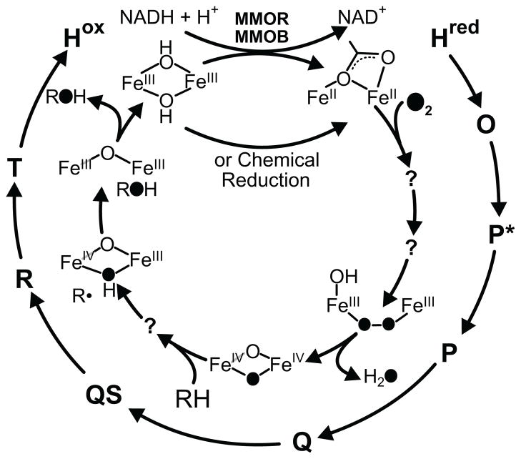 Scheme 1