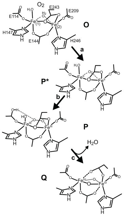 Scheme 2