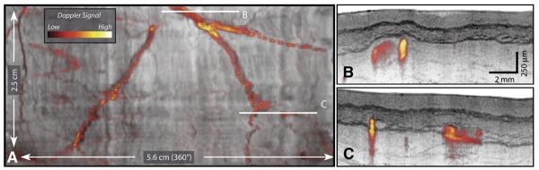 Figure 7