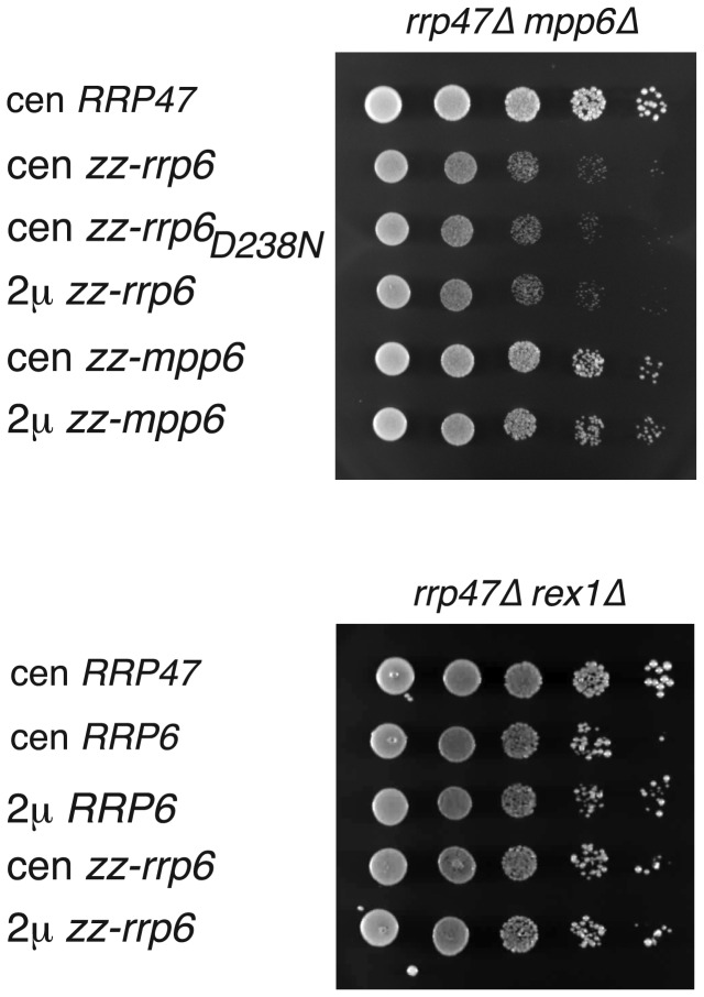 Figure 7