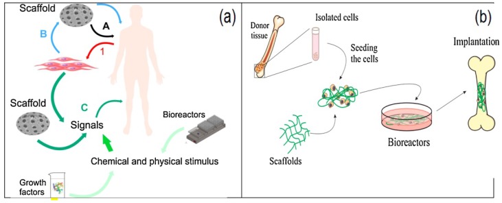 Figure 16