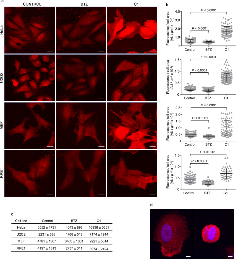 Fig. 4.