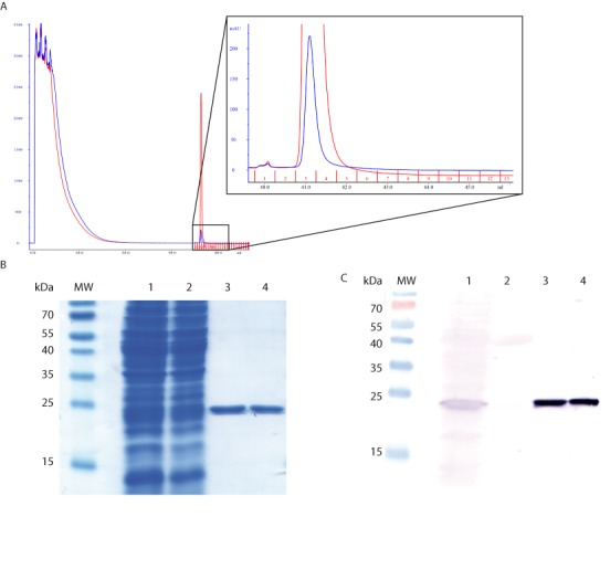 Figure 2.