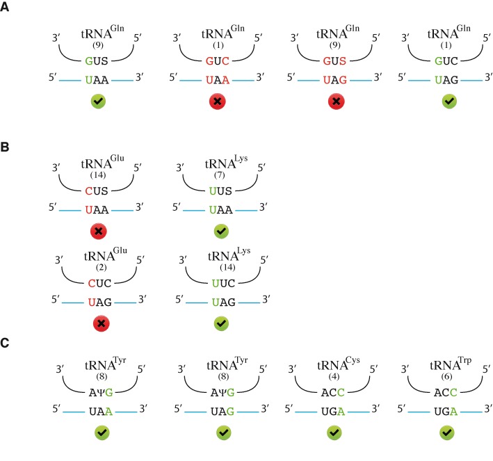 Figure 5.