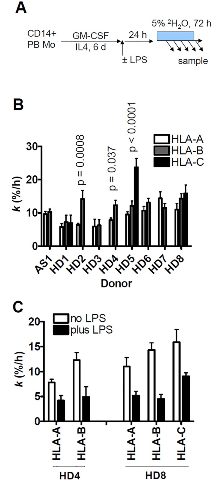 Fig 5