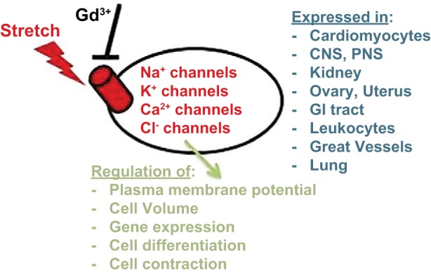 Fig. 2.