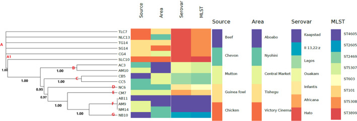 FIGURE 1