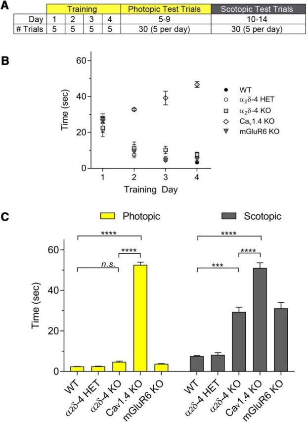 Figure 10.