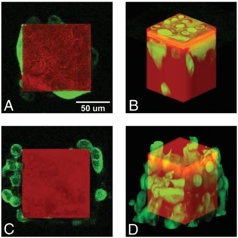 Fig. 6.