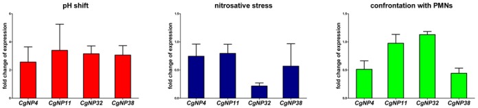 Figure 4.