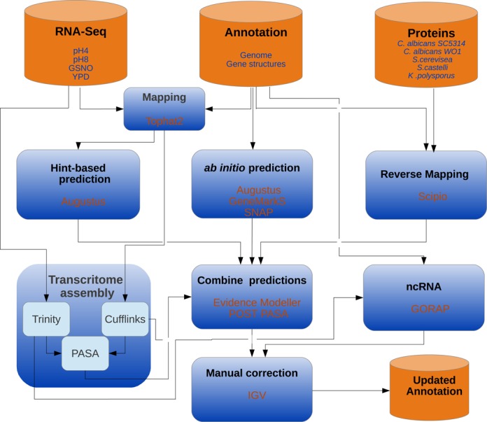 Figure 1.