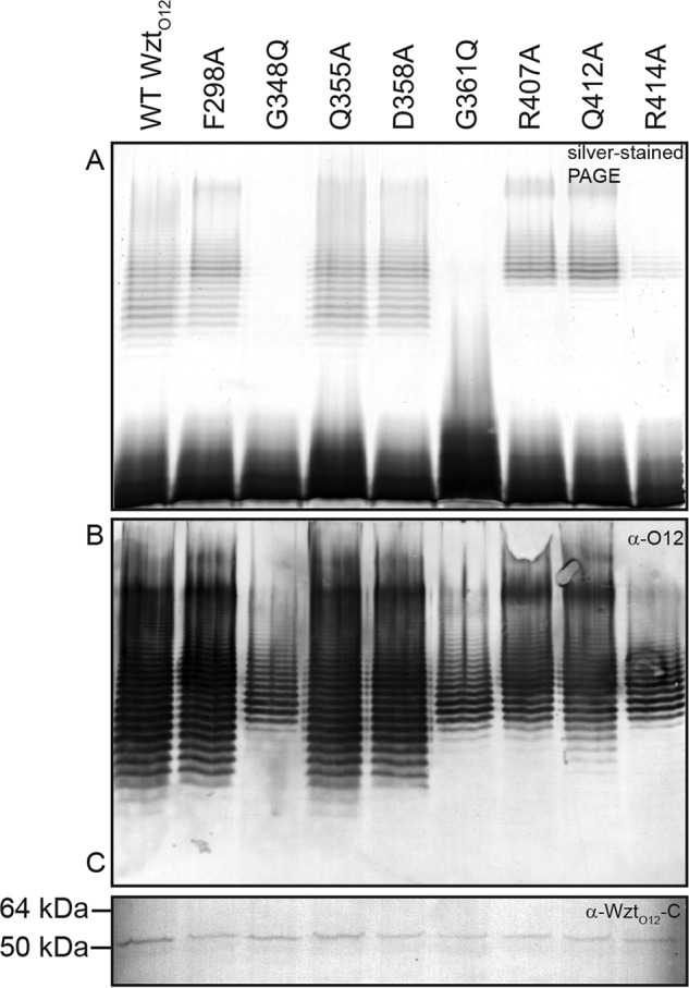 FIGURE 6.