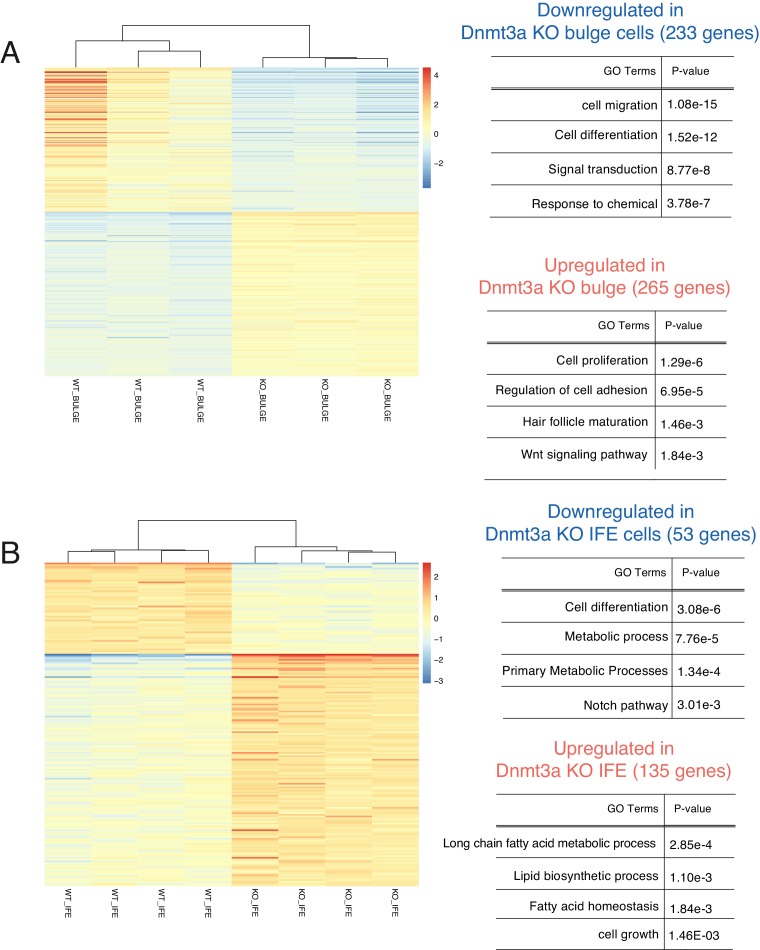 Figure 4—figure supplement 1.