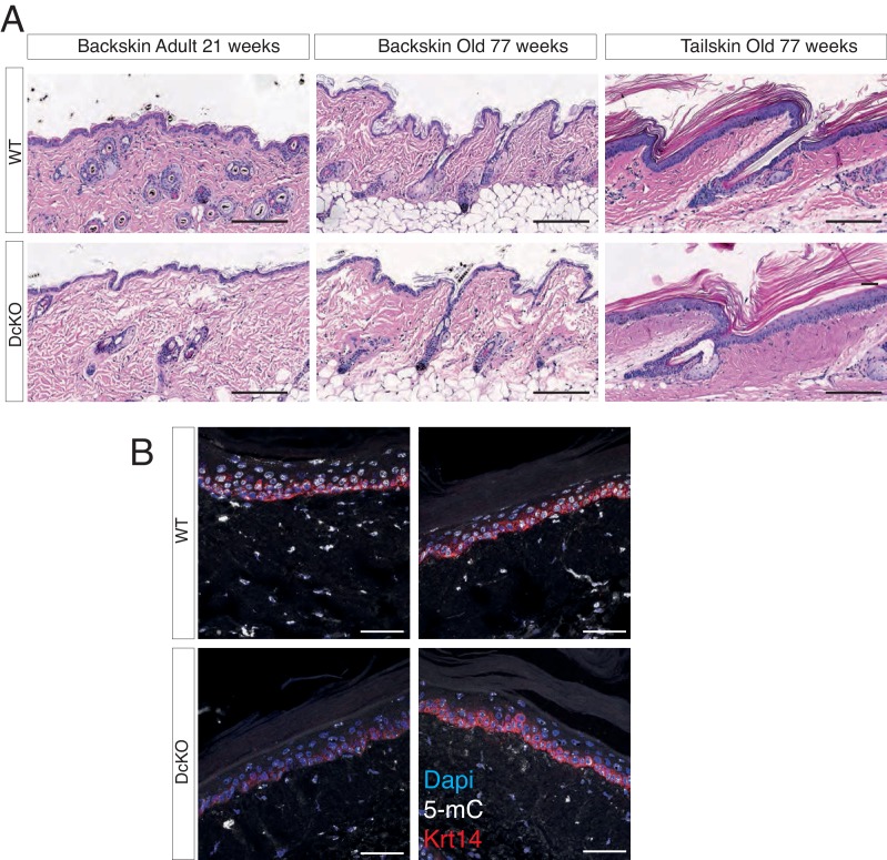 Figure 2—figure supplement 4.