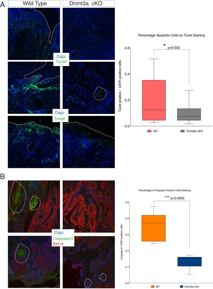 Figure 3—figure supplement 2.