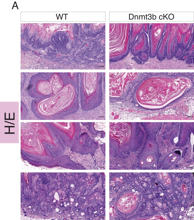 Figure 2—figure supplement 2.