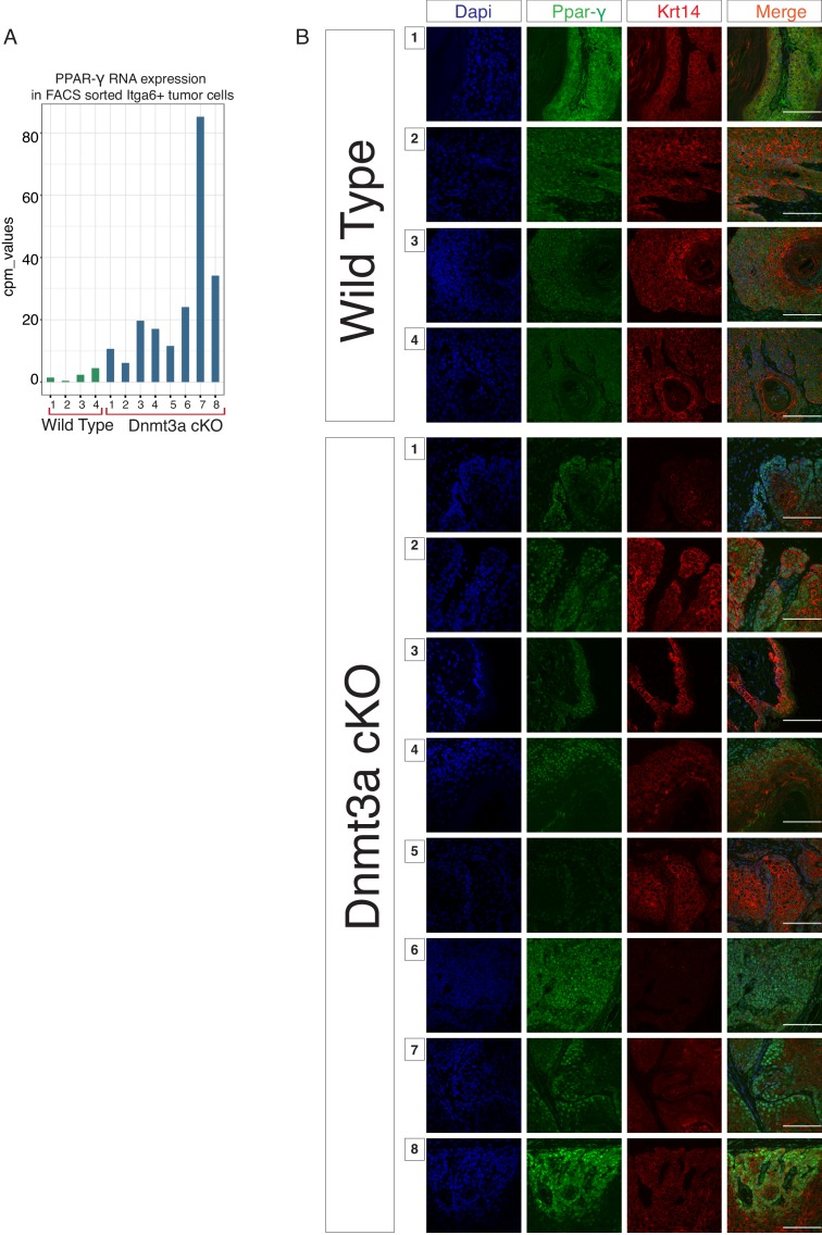 Figure 3—figure supplement 3.