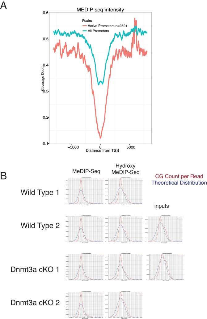 Figure 5—figure supplement 1.