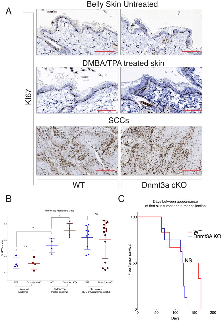 Figure 3—figure supplement 4.