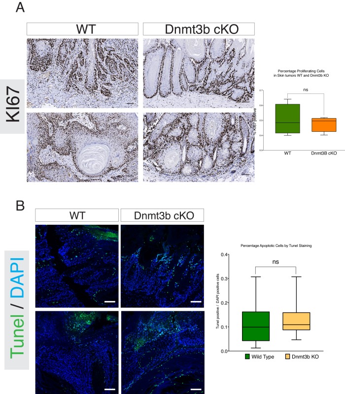 Figure 2—figure supplement 3.