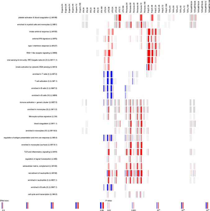 Figure 2—figure supplement 3.