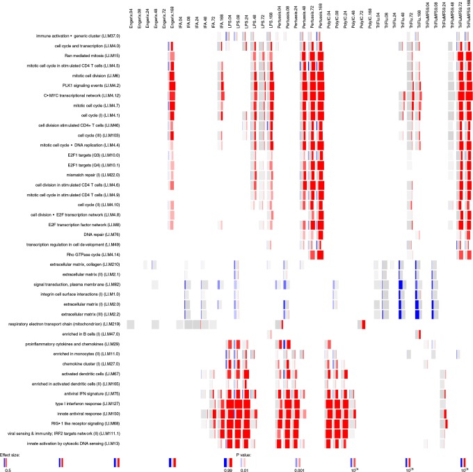 Figure 2—figure supplement 2.