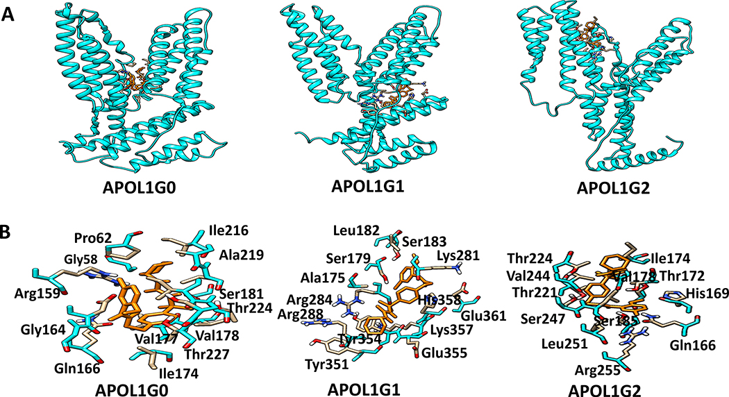 Figure 11.