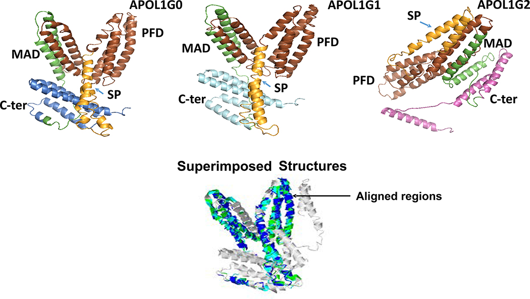 Figure 4.