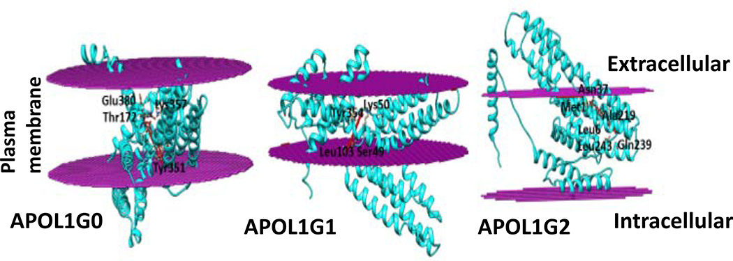 Figure 10.