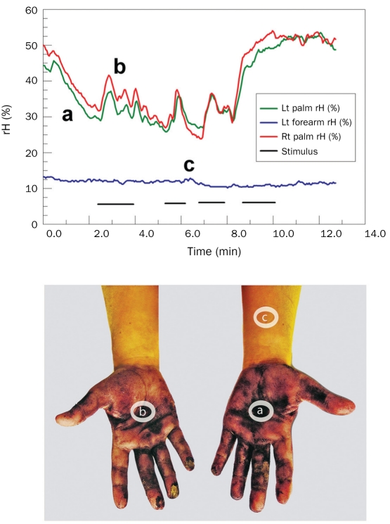 FIGURE 3.