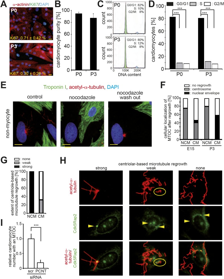 Figure 2—figure supplement 1.