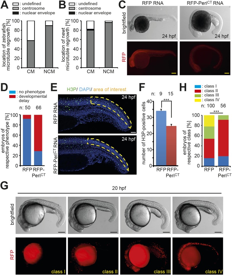 Figure 4—figure supplement 1.