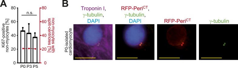 Figure 3—figure supplement 1.