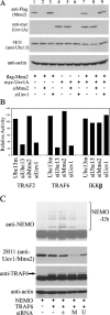 Figure 6.