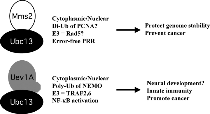 Figure 9.