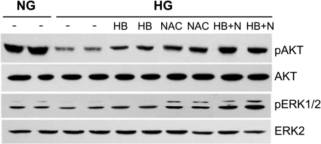 FIG. 8.