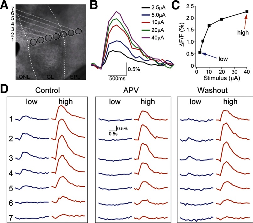 FIG. 4.