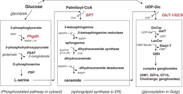 Figure 3. 