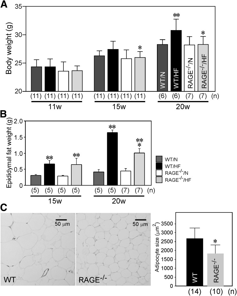 FIG. 6.