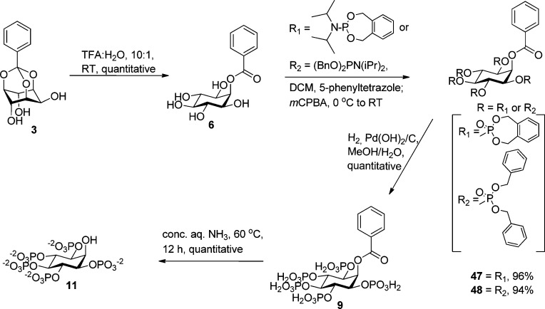 Scheme 13