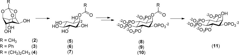 Scheme 2