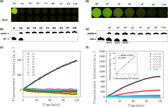 FIGURE 4