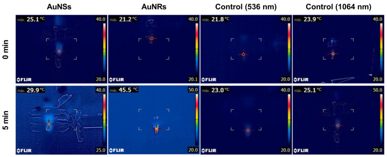 Figure 12