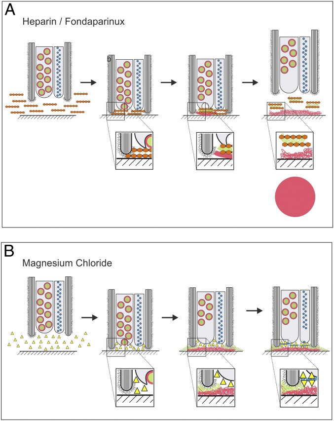 Fig. 7.