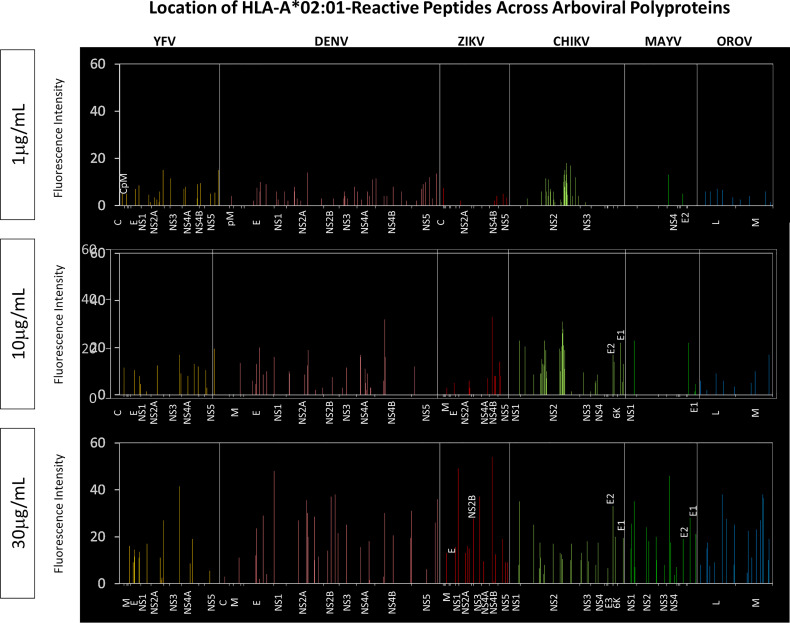 Figure 6