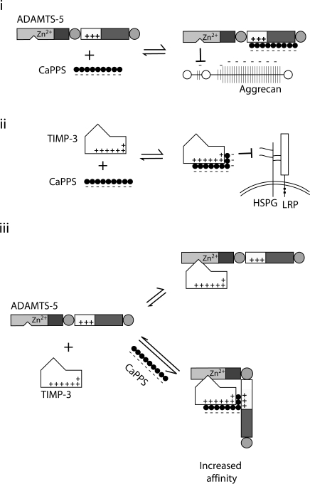 Figure 9.